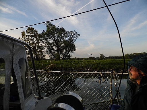 DSCI0234.JPG - Nach dem Ablegen in Schwedt ist es ein wunderschoener Morgen. Aber kalt. Der Skipper braucht die Kapuze und den Parka, der Reiher hat damit weniger Probleme. Oder fliegt er der Kaelte einfach davon?