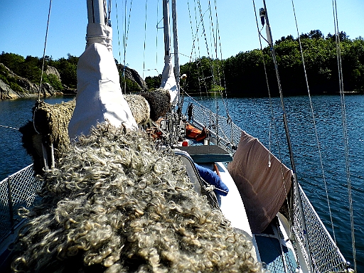 DSCI1073.JPG - Das schoene Wetter muss natuerlich genutzt werden. Wenn man so lange darauf angewiesen ist drinnen zu verbringen, ist ein ausgiebiges Lueften von Zeit zu Zeit unumgaenglich.