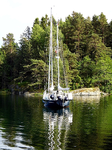 DSCI1133.JPG - Da koennen wir nicht mithalten, aber tauschen wuerde ich nicht!