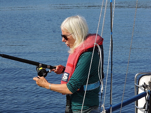 DSCI0346.JPG - Manchmal scheint es auch zu helfen, wenn man den Fischen gut zuredet, so wie offensichtlich hier...Nun ja, wenns klappt.... 
