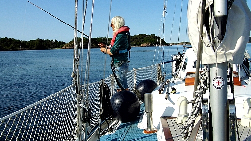 DSCI0351.JPG - Und es klappt wie nix. Insgesamt 35 (!) Makrelen bekommt die Bordfee an den Haken.  Meist gleich 4 oder 5 Stueck gleichzeitig. Allerdings sind die meisten nur sehr klein und wir loesen sie vorsichtig vom Haken und lassen sie wieder frei. 