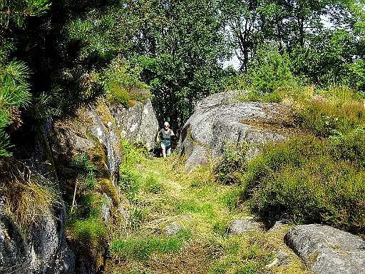 DSCI0417.JPG - Dann entdecken wir einen schmalen Waldweg, der offensichtlich zur Suedkueste von Merdoey fuehrt. Die Bordfee braucht schon einen grossen Schritt, um in die Enge zu kommen, die auch noch aufwaerts geht.
