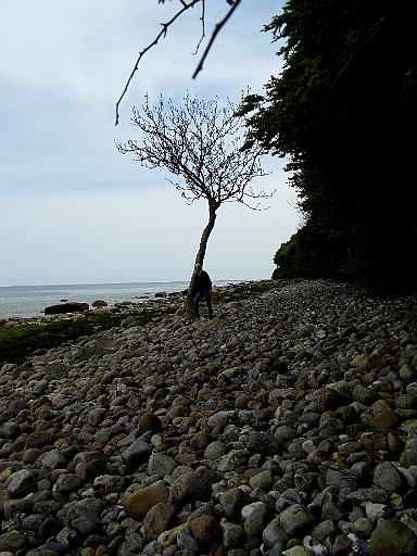 DSCI0383.JPG - "Maedchen mit Baum am Meer" wuerde ich dieses Kunstwerk nennen, wenn es in Oel gemalt waere. Na, wer ist das wohl?