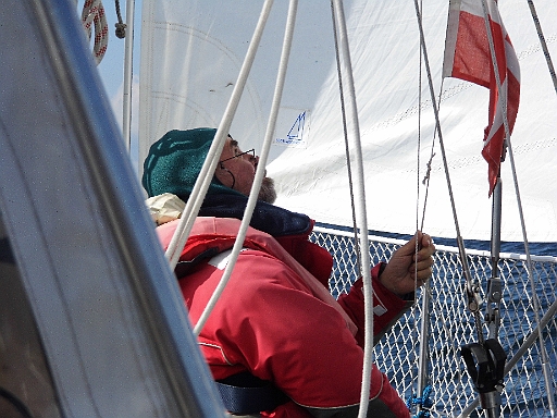 DSCI0409.JPG - Natuerlich: Wir sind in daenischen Hoheitsgewaessern angekommen und da heisst es: Flagge zeigen, und zwar die des Gastlandes! Wie man ander Verkleidung des Skippers sieht, sollte das schoene Wetter nicht ueber die Temperaturen hinwegtaeuschen...