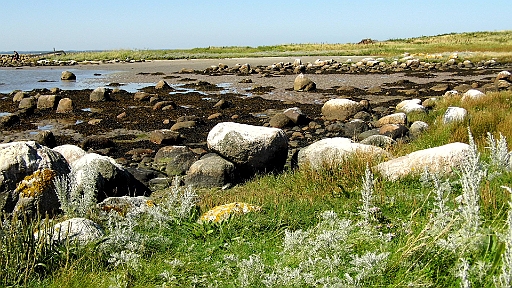 DSCI1583.JPG - Ebbe! Es sind zwar nur 20 bis 30 cm Differenz (je nach Windrichtung), aber der Strand veraendert sich doch immer wieder neu