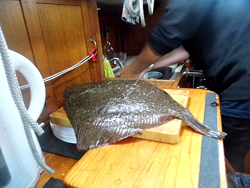 DSCI1886.JPG - So einen Steinbutt hatten wir noch nie! Eine Herausforderung fuer den Kuechenchef!