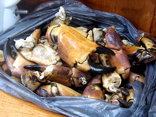 DSCI1891.JPG - Daf&Atilde;&frac14;r gibts morgens erst einmal 4 kg Jomfun fuer fast nix, und dann nioch mal diese 2 kg Krebsscheren fuer nur 100 DKR.