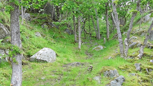 DSCI1324.JPG - Nickys morgendlicher Wanderweg zur anderen Seite der Insel. Auch dort kann man gut festmachen.